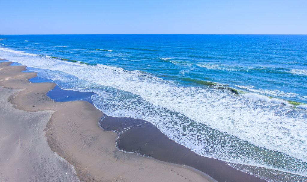 ジュアバックについて